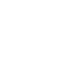 CSS