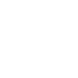 premiere pro